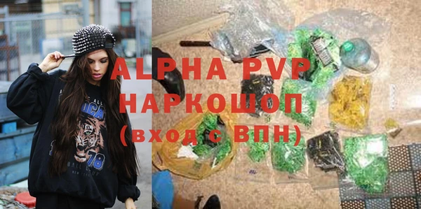 дживик Абаза