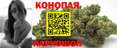 сатива Конаково